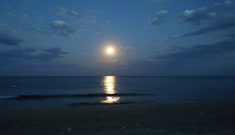 Summer Moon